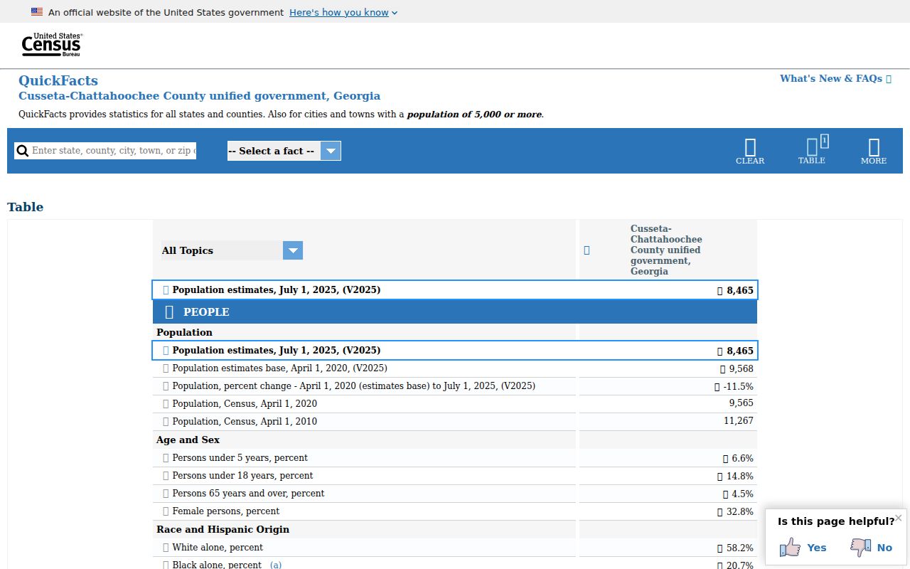 Census profile for Cusseta-Chattahoochee County unified government