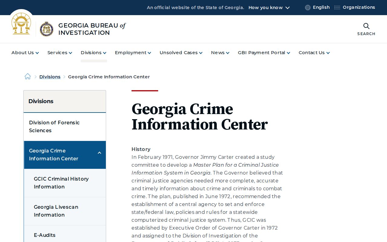Georgia Crime Information Center criminal-record programs